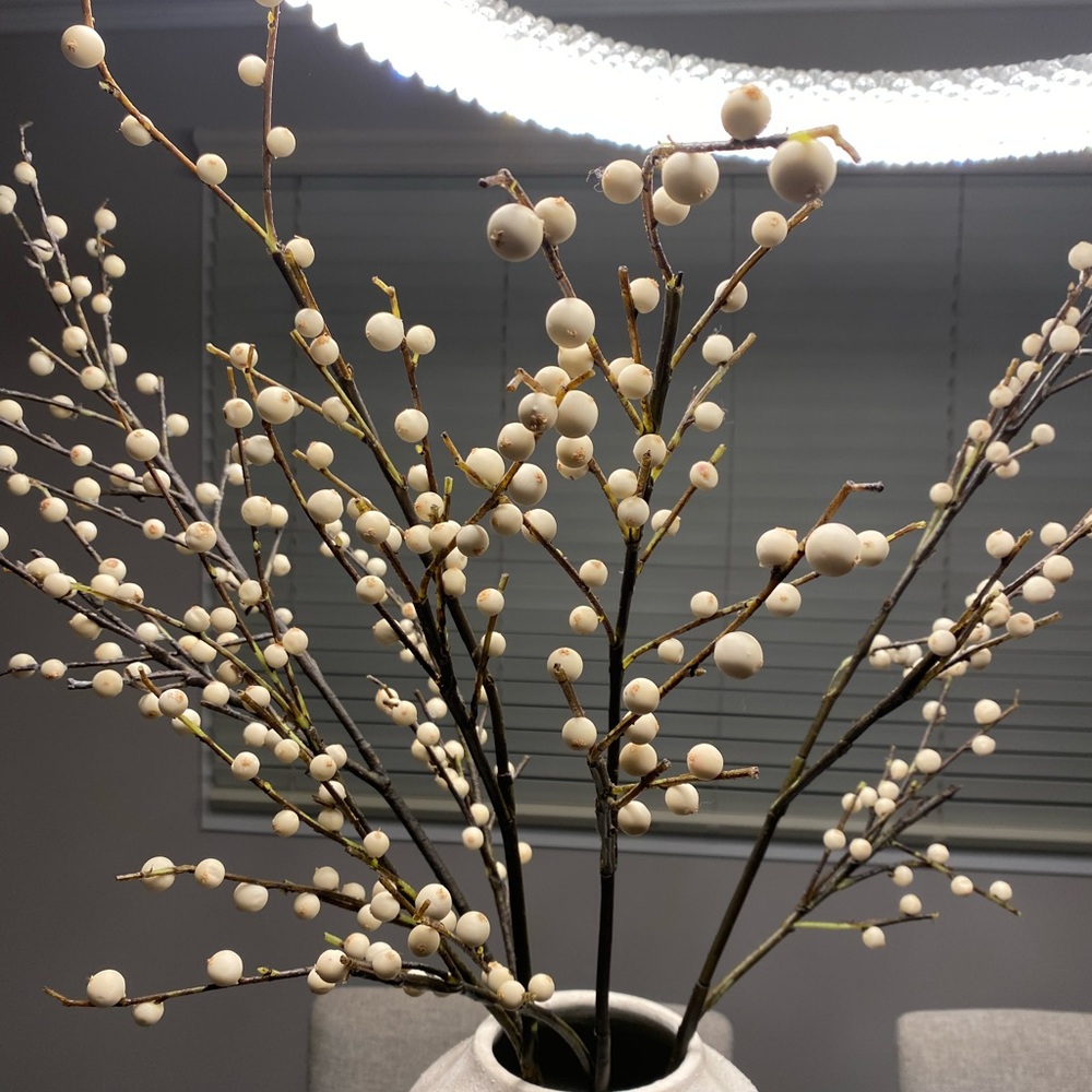 White berry stem branches